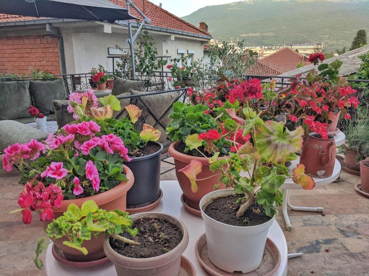 Apartments Evelyn Ohrid Ngoại thất bức ảnh